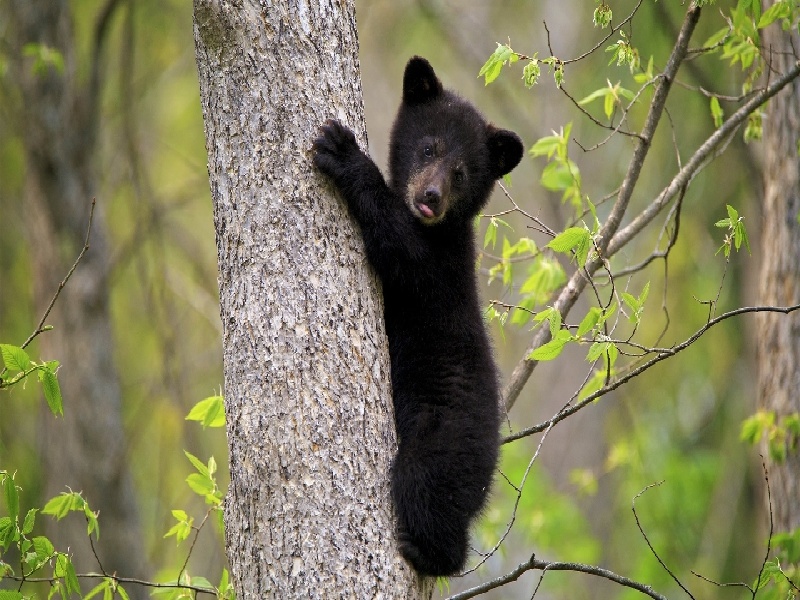 试管初检多久去试管养卵高龄海外试管费用